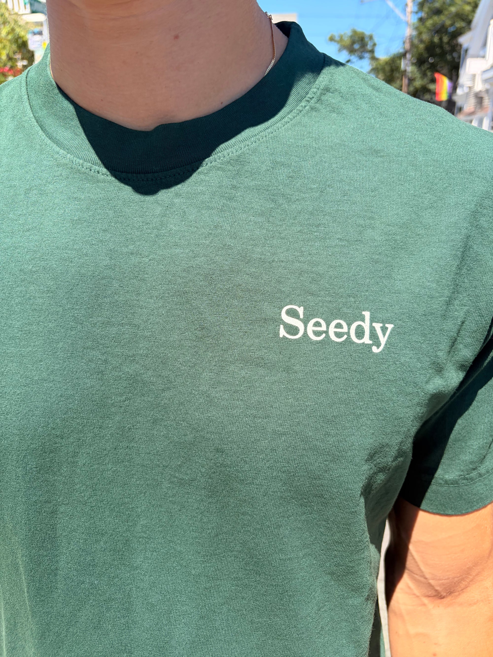 T Shirt - Seedy