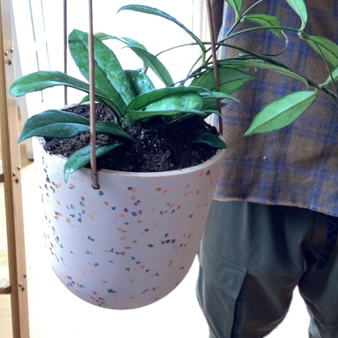 Hanging Planters Small - Salt Terrazzo with plant